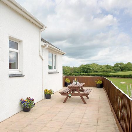 Y Ddol Villa Caeathro Exteriör bild
